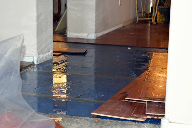 Professional Basement Water Removal technician working in Culver, IN